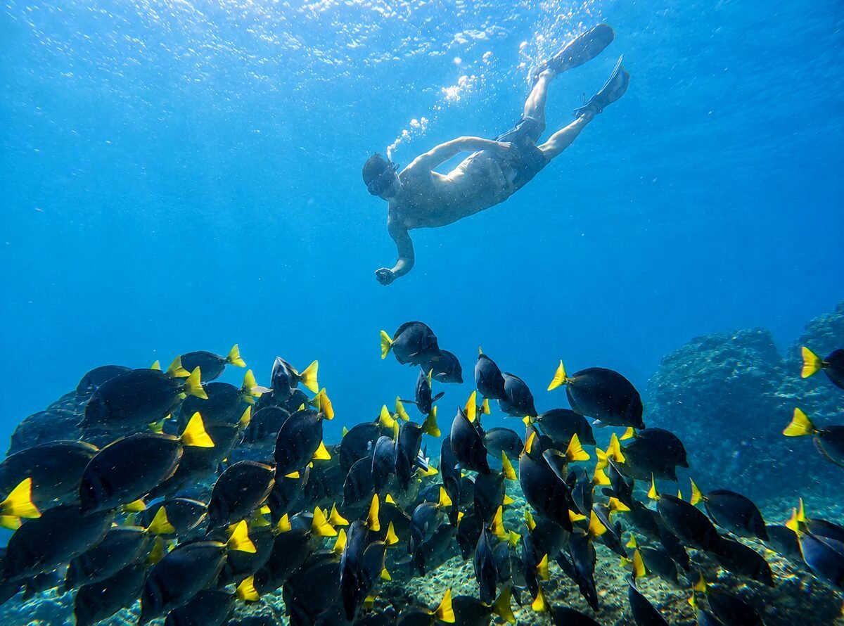 Private snorkeling around the Catalina Islands near Tamarindo